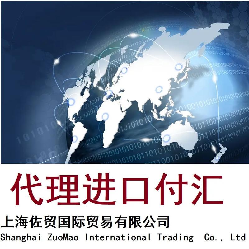 上海代理进出口服务 全方位海运与空运贸易代理解决方案